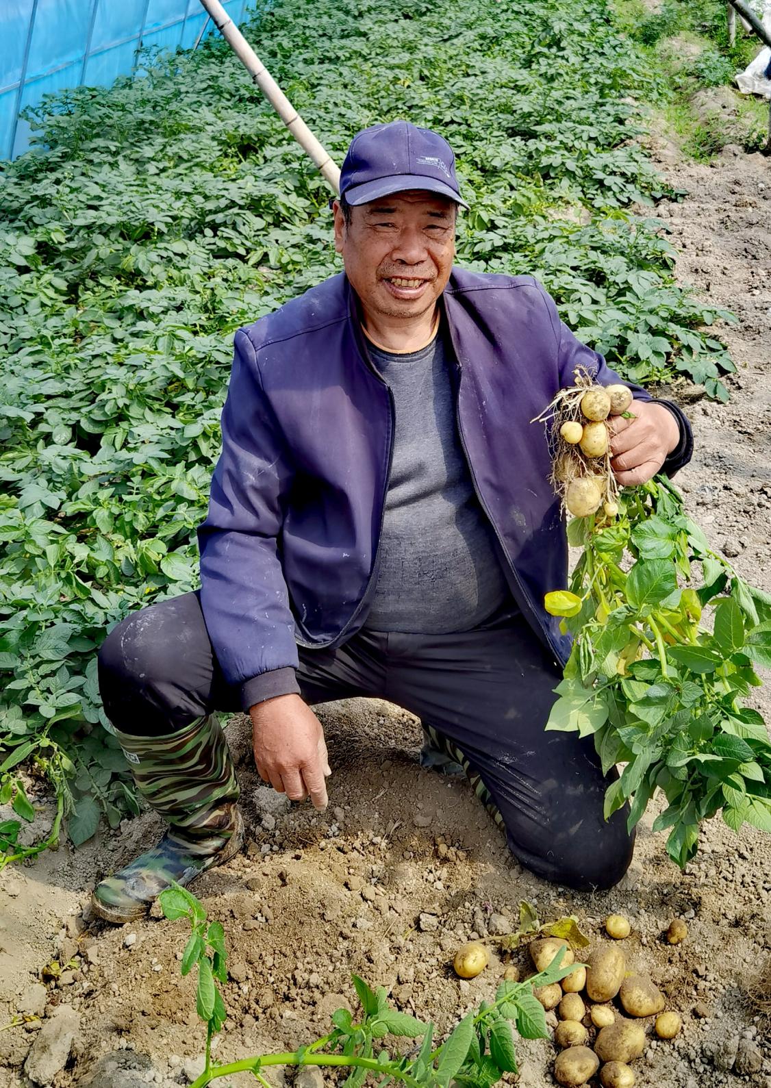 陈波豆腐致富经_致富经豆腐皮_致富经豆腐全集视频
