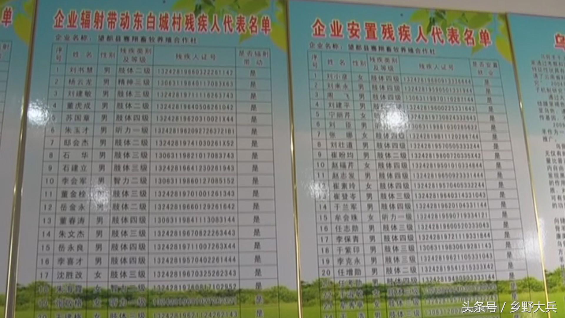 致富经乌骨羊养殖视频_乌骨羊养殖专业合作社_cctv7 致富经乌骨羊