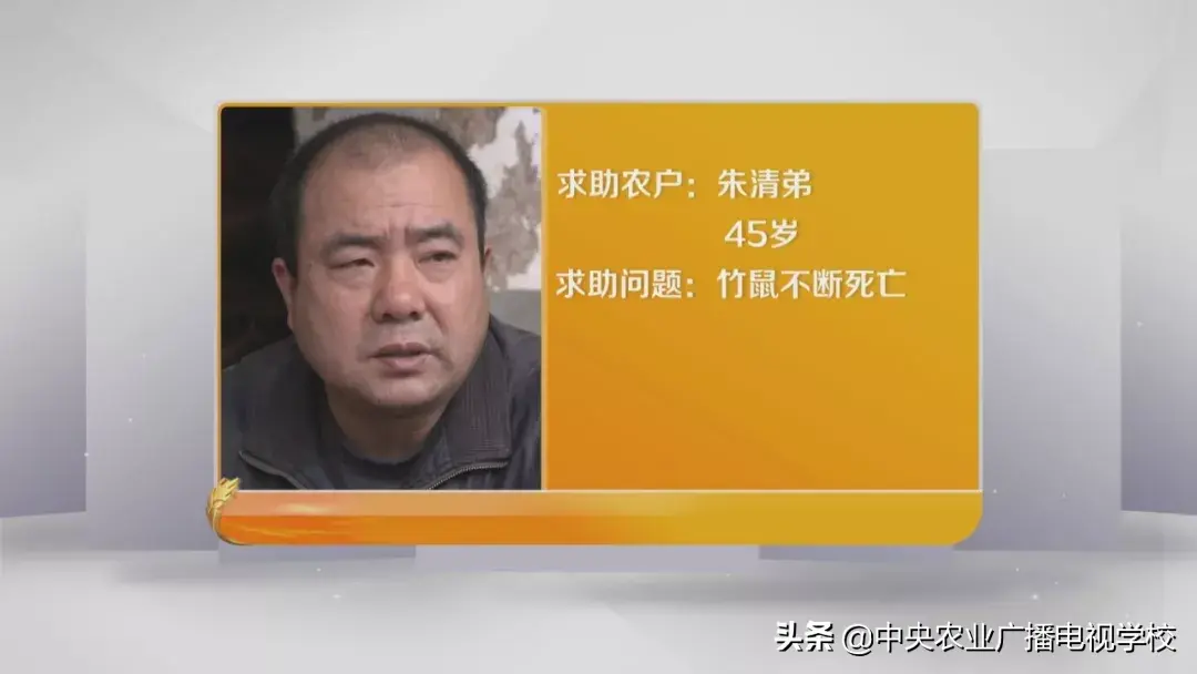 生财有道竹鼠养殖视频_竹鼠养殖骗局_看致富经养竹鼠视频