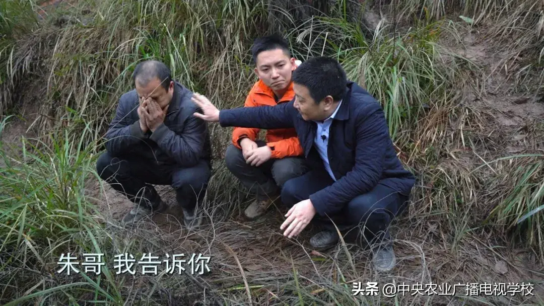 看致富经养竹鼠视频_生财有道竹鼠养殖视频_竹鼠养殖骗局