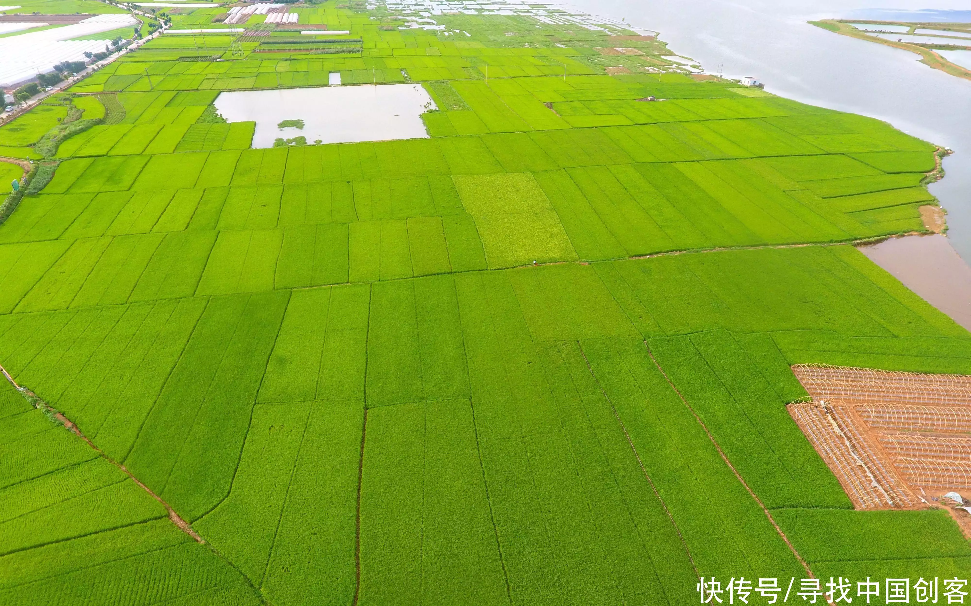 致富泡菜四川加盟电话_致富经四川泡菜加盟_致富泡菜四川加盟费多少