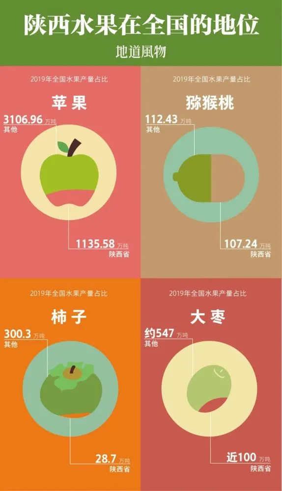 洋柿子种植方法_农村的洋柿子鲜嫩多汁_种植洋柿子致富