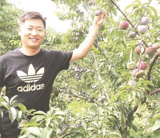 致富经泡菜_致富经四川泡菜加盟_致富泡菜四川加盟费多少钱
