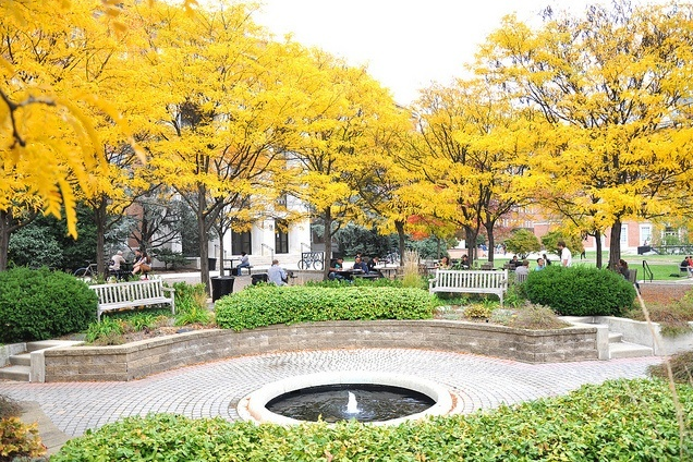 室内种植创业_室内种植致富的_室内种植致富项目