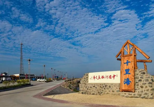 致富经养河豚_养殖河豚_致富经河豚养殖