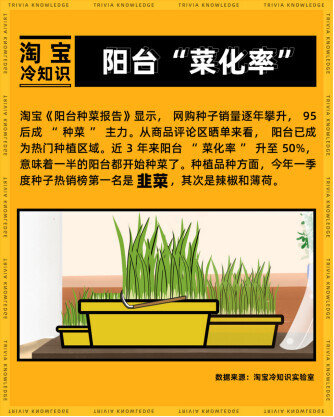 致富经辣椒种植视频_致富经河南男子种辣椒_辣椒致富经