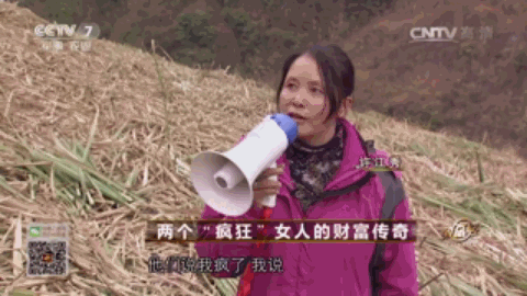农业节目致富经_央视农业致富节目_中央农业节目致富经视频