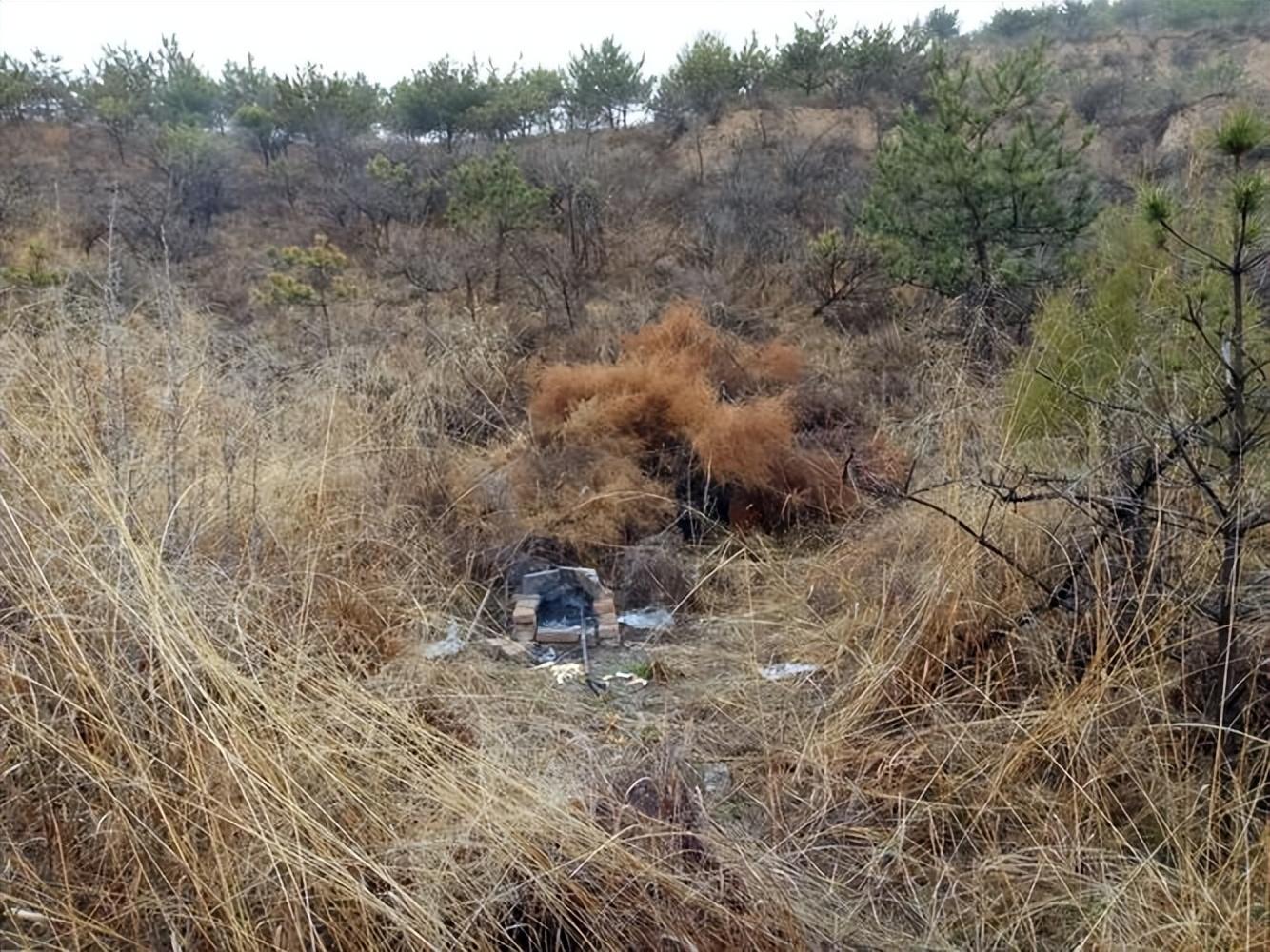 山瑞养殖场_山瑞养殖市场前景_山瑞养殖技术