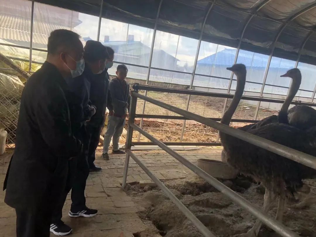 致富经兰花_致富经兰花交易背后_致富经养兰
