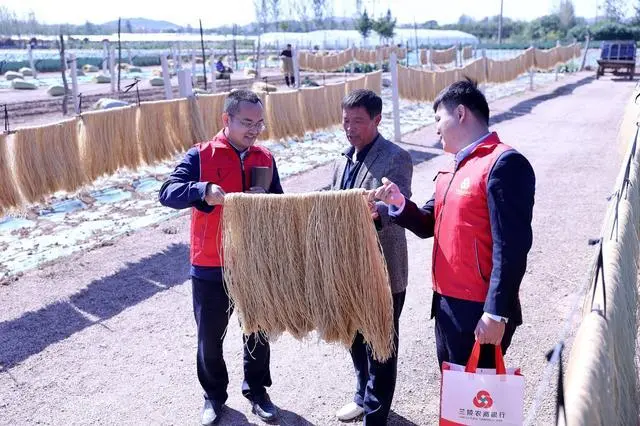 致富经兰花疯狂的背后_致富经养兰_致富经盆景花卉