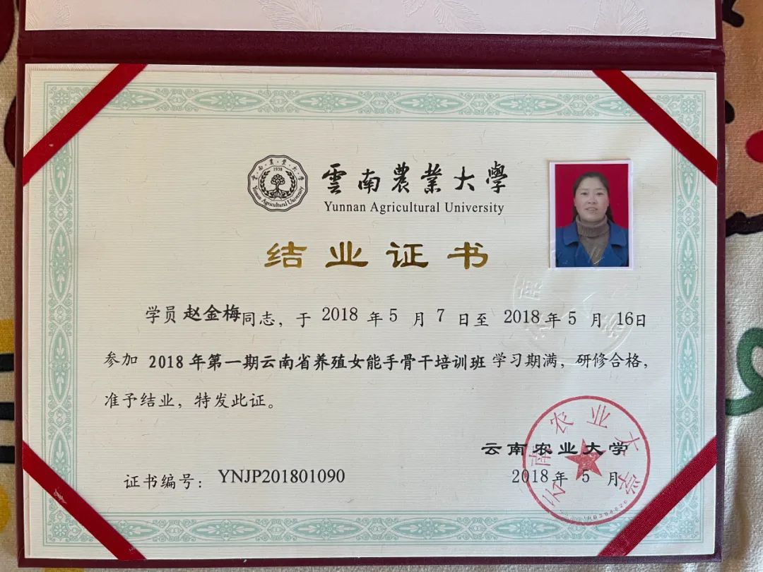 致富养殖大全创业计划书_创业致富养殖大全_致富养殖什么最赚钱