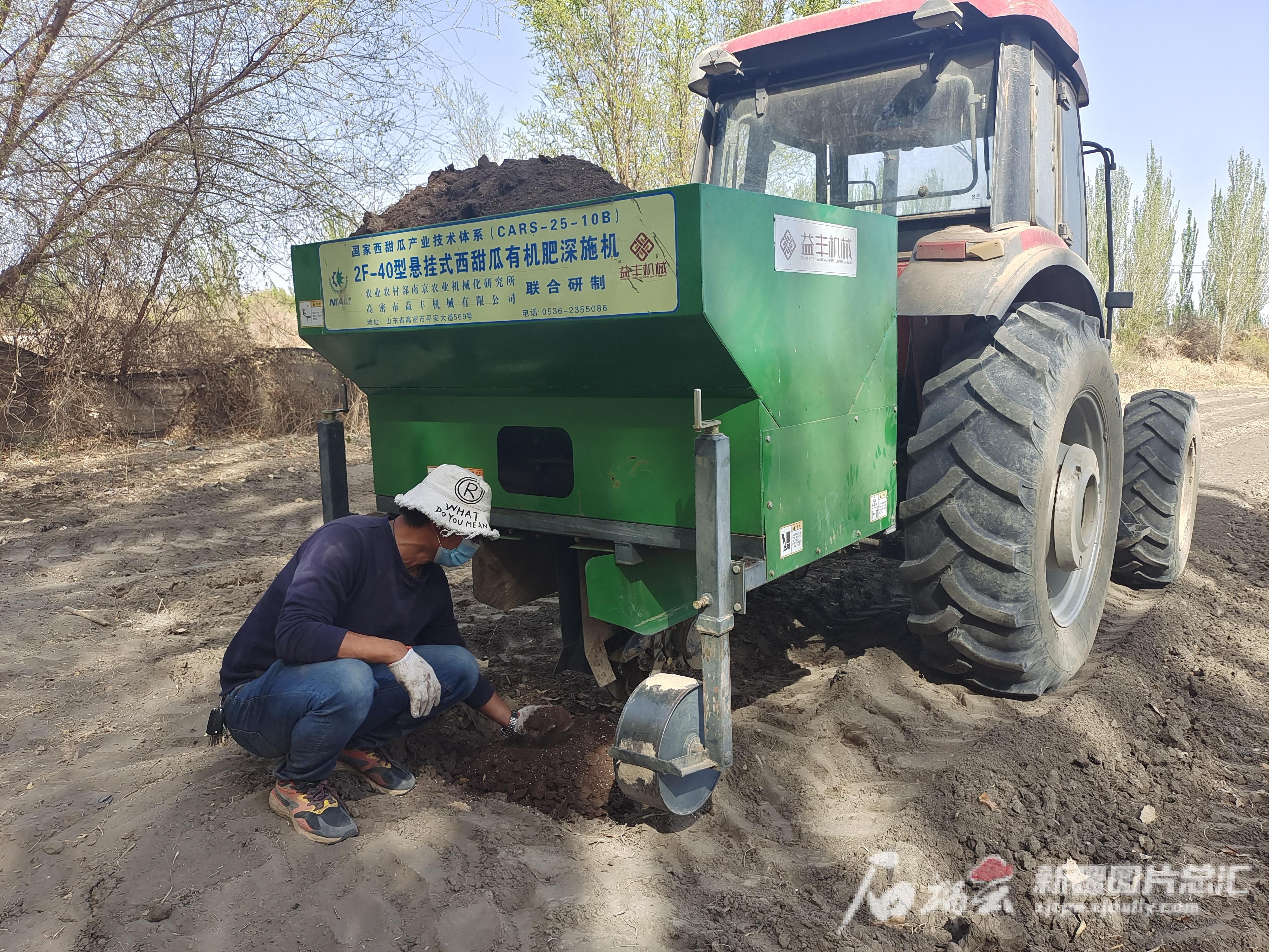 哈密瓜露天种植技术视频_哈密瓜露地栽培技术_哈密瓜露天种植技术