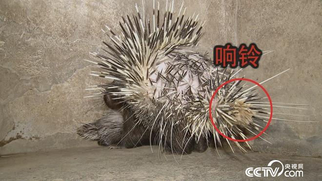 致富经