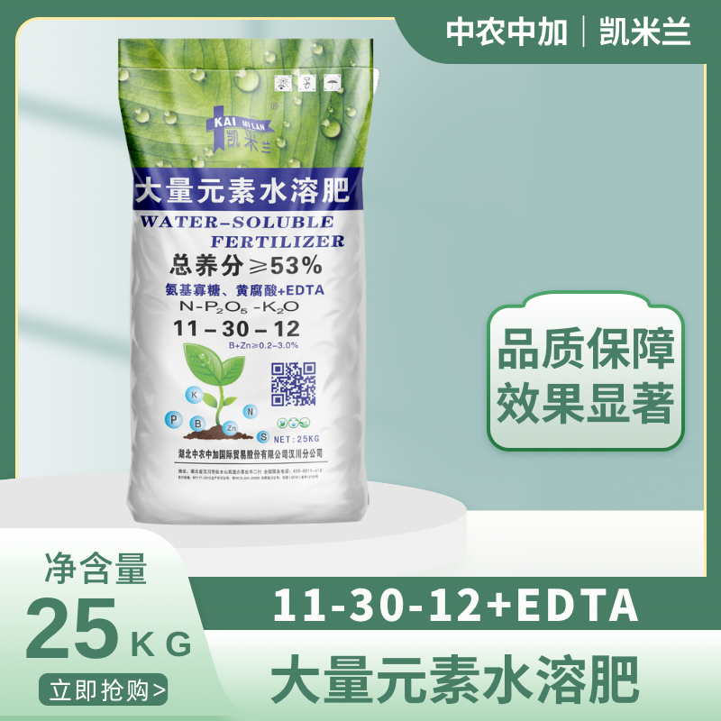 菊花种植管理技术要点_菊花种植技术与栽培管理_菊花种植管理技术