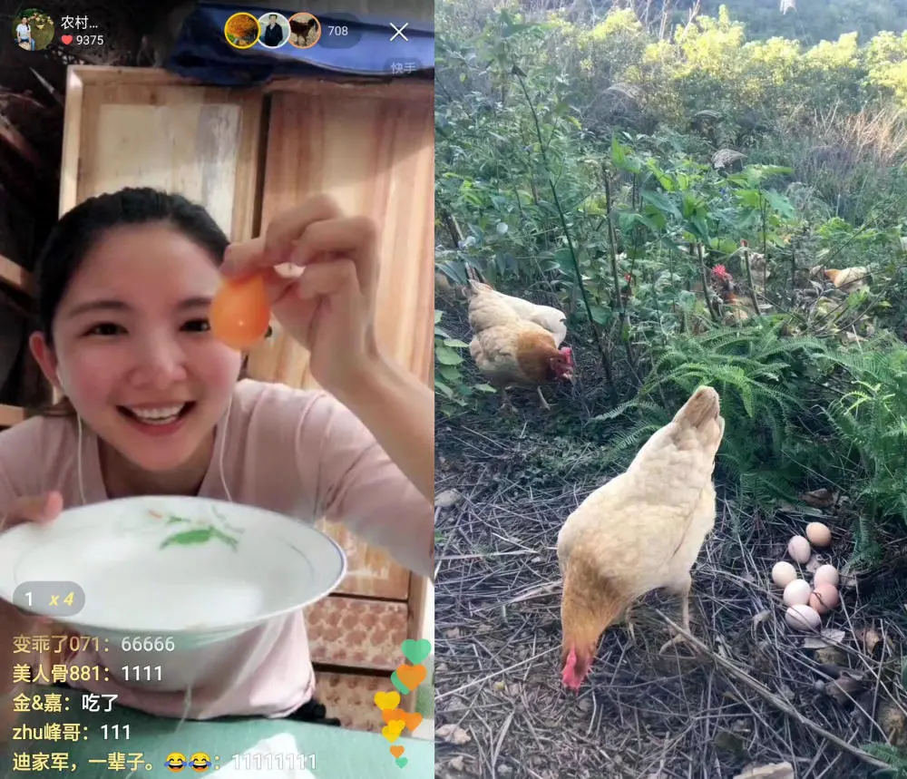 河南养猪女孩_河南农村女孩养殖致富能手_小伙养殖致富