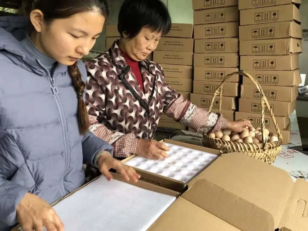 小伙养殖致富_河南养猪女孩_河南农村女孩养殖致富能手
