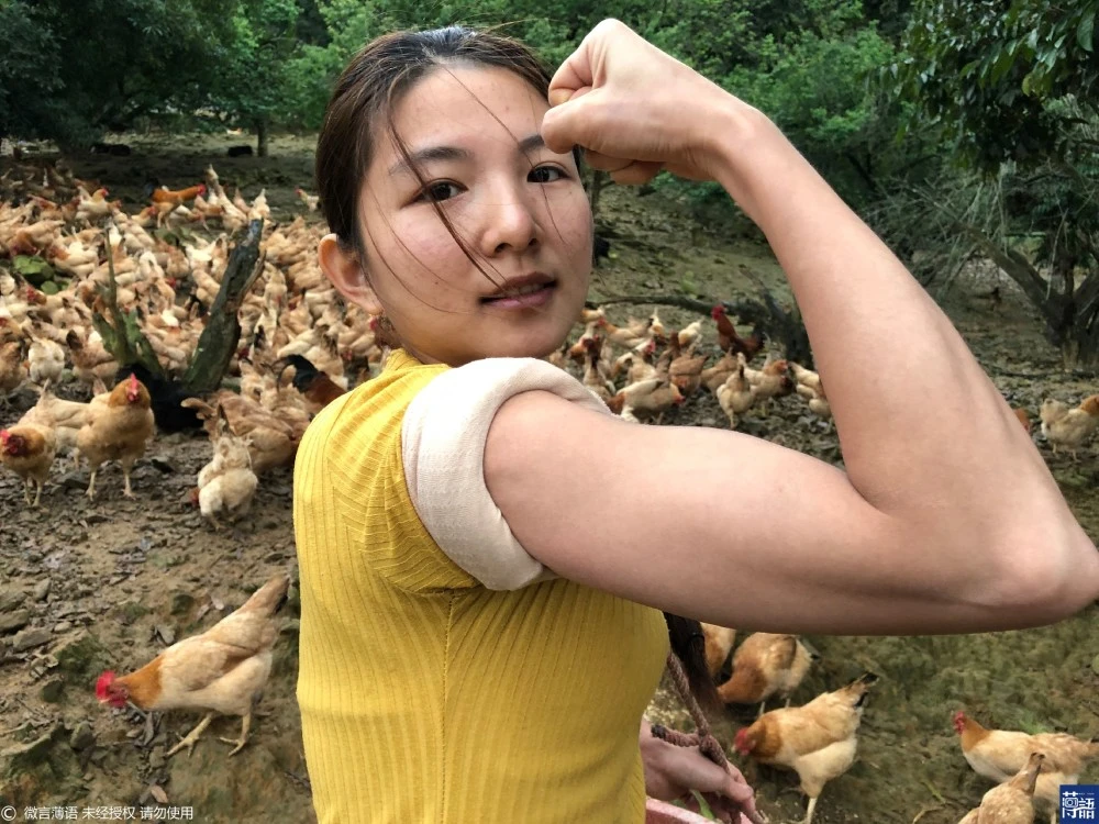 河南养猪女孩_河南农村女孩养殖致富能手_小伙养殖致富