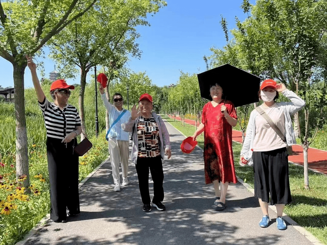 志愿服务经验交流发言稿范文_志愿活动经验交流_志愿工作的优质经验分享