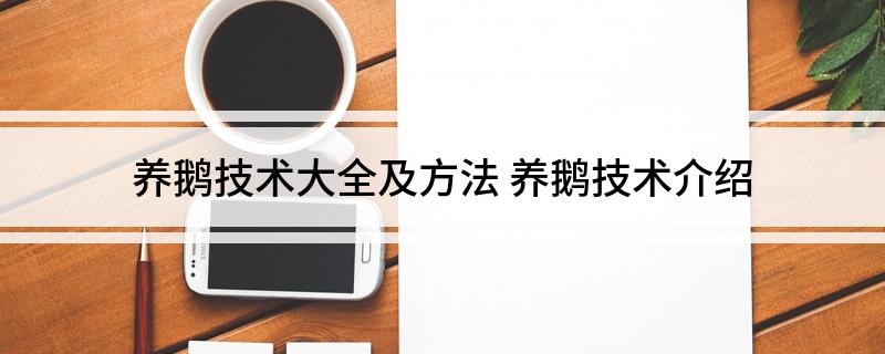 养鹅技术大全及方法