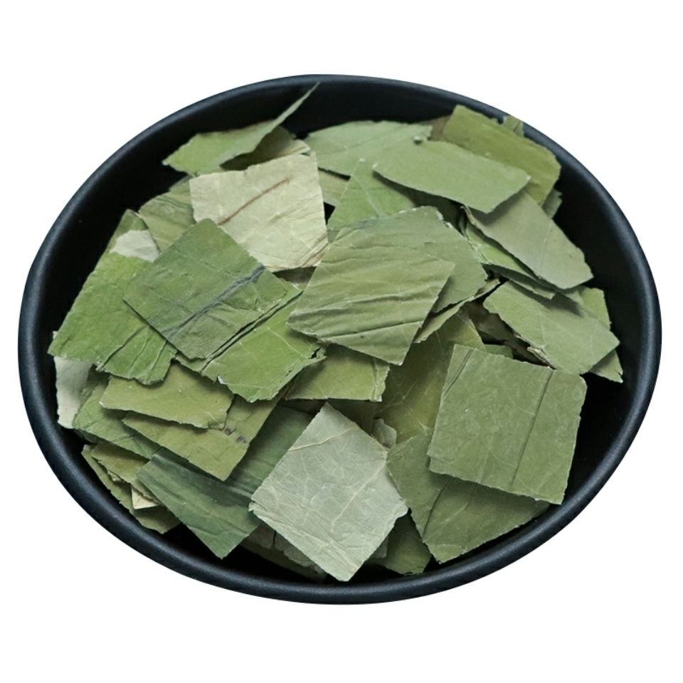 盆栽观赏莲藕怎样种植_观赏莲藕种植技术_观赏种植莲藕技术要求