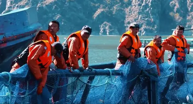 海鲜的养殖技术_海鲜养殖技术图书_海鲜养殖技术培训学校