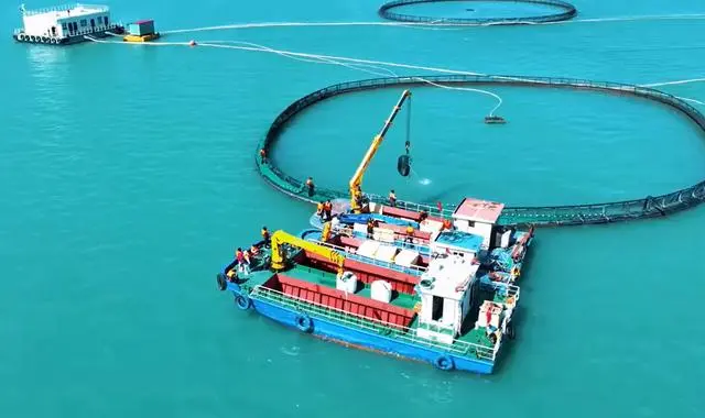 海鲜养殖技术图书_海鲜的养殖技术_海鲜养殖技术培训学校