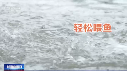 海鲜养殖技术大全_海鲜养殖技术培训学校_海鲜的养殖技术