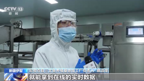 海鲜的养殖技术_海鲜养殖技术大全_海鲜养殖技术培训学校
