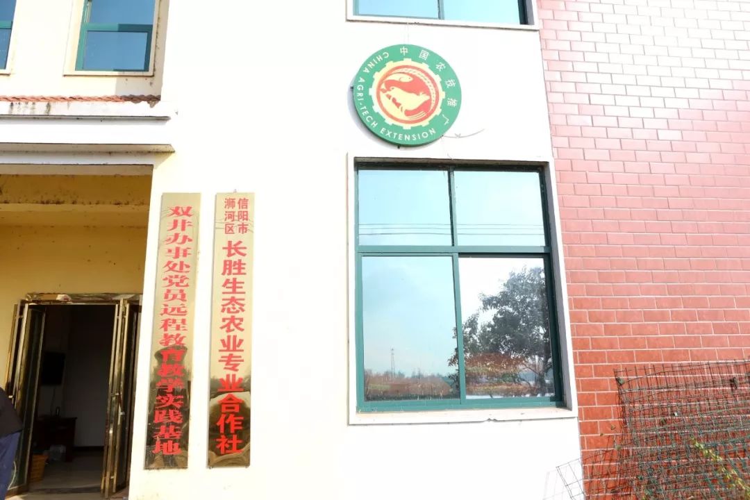 致富养殖鲈鱼故事简介_养殖鲈鱼致富故事_致富养殖鲈鱼故事视频