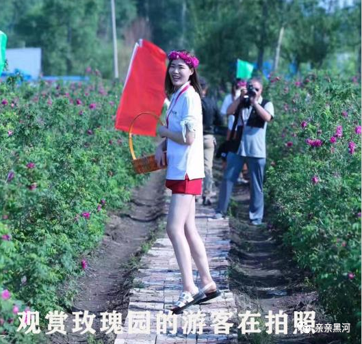 五大连池 致富经_五大连池 致富经_五大连池 致富经