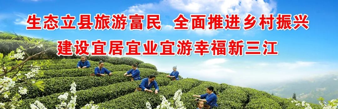 种植致富业_致富种植什么比较赚大钱_种植什么树致富快