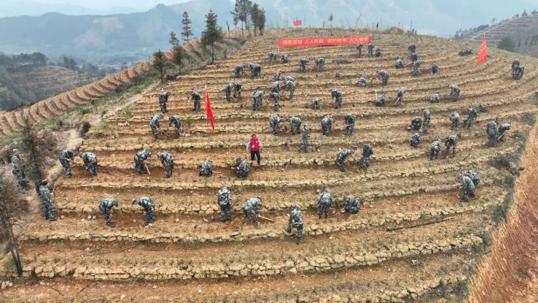 致富种植什么比较赚大钱_种植什么树致富快_种植致富业