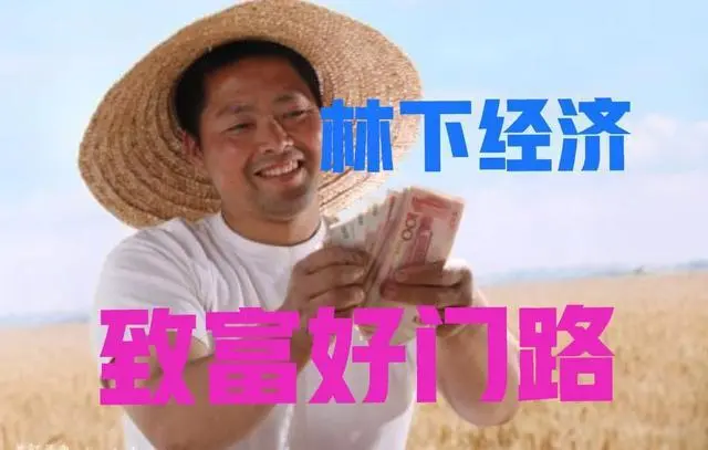 昆虫致富养殖增收措施_昆虫养殖项目_养殖昆虫增收致富