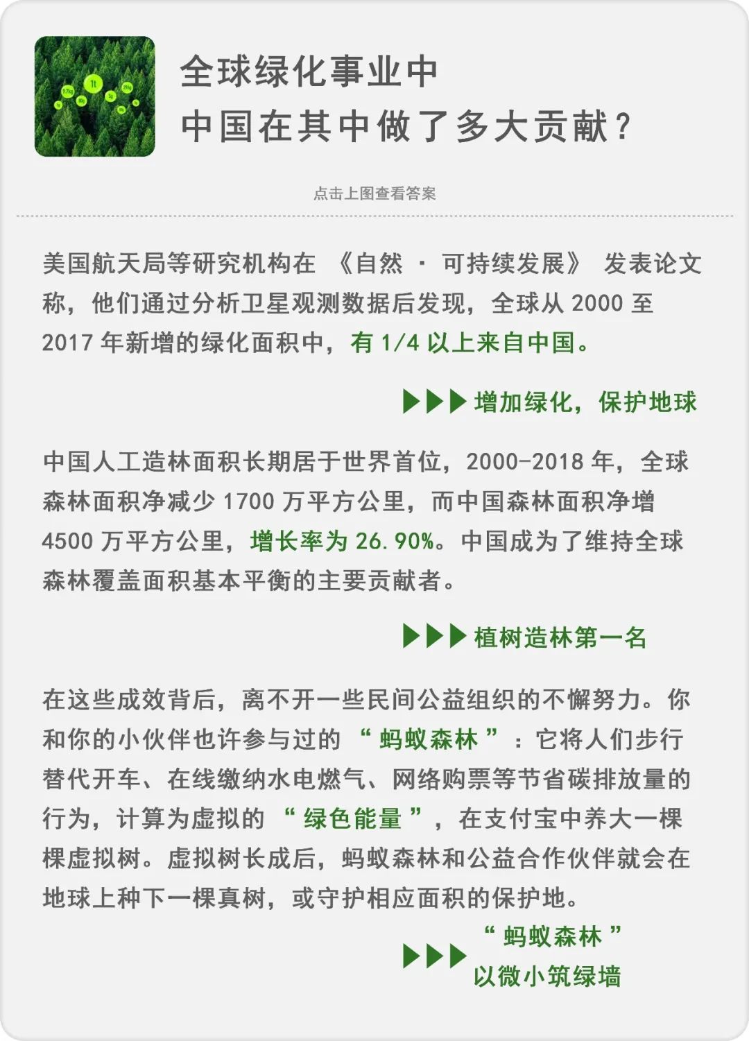 种树致富经_致富经种树的创业项目_种植什么树致富快