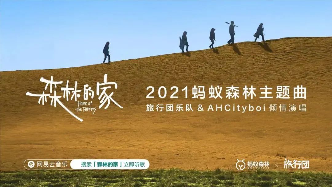 种树致富经_种植什么树致富快_致富经种树的创业项目