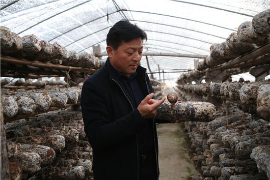 （在王俭的推销下，“常门蘑菇”在当地赢得了口碑 ）