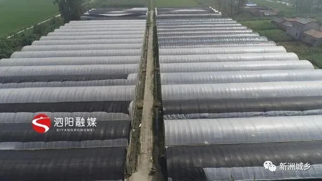 室内水蛭立体养殖_水蛭立体养殖技术视频_北方立体水蛭养殖技术