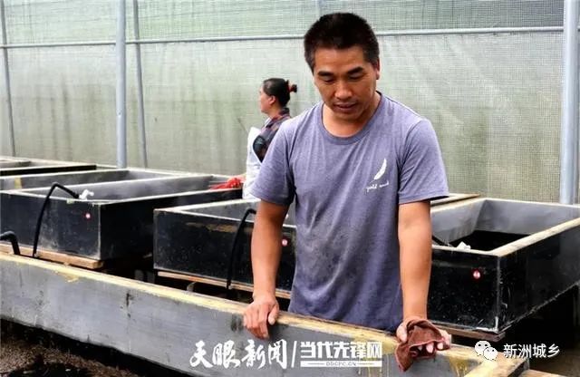 水蛭立体养殖技术视频_北方立体水蛭养殖技术_室内水蛭立体养殖