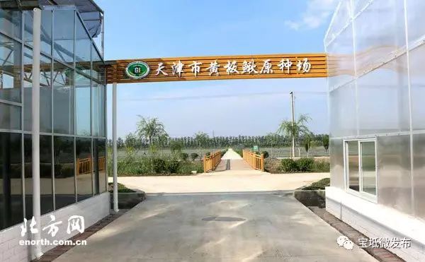 立体养殖北方水蛭技术要求_水蛭立体养殖技术视频_北方立体水蛭养殖技术