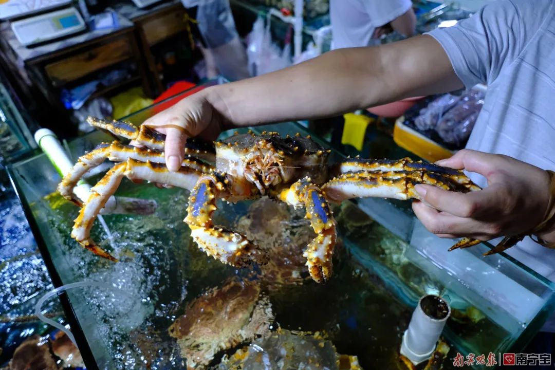 麻虾怎么养活_麻虾养殖_麻虾的养殖技术