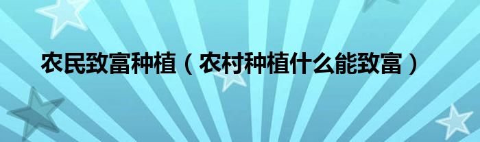 农民想加工竹子致富_农民种植致富法宝_农民怎样致富