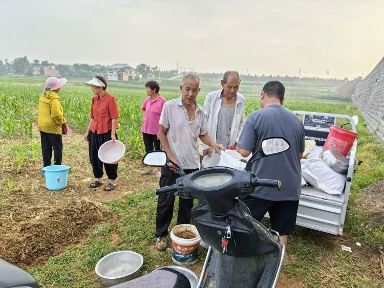 山西种植柴胡致富_柴胡在山西的旱地亩产量_山西柴胡产地价
