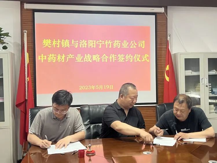 山西柴胡产地价_山西种植柴胡致富_柴胡在山西的旱地亩产量