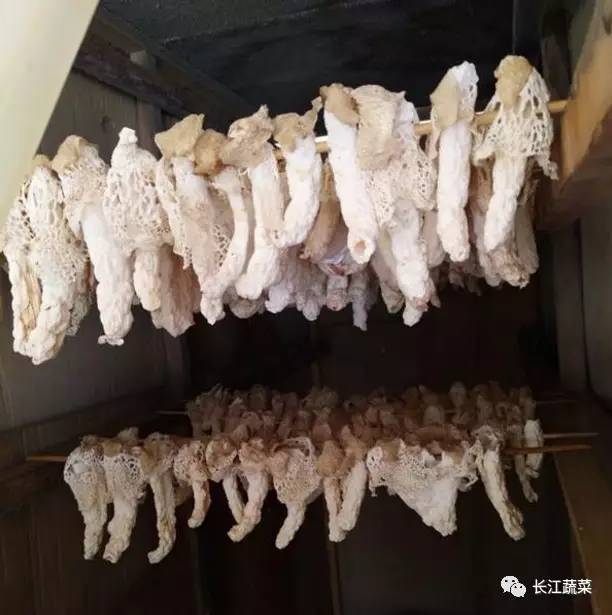 农民种植致富工具_致富种植农民工具图片_致富种植农民工具有哪些
