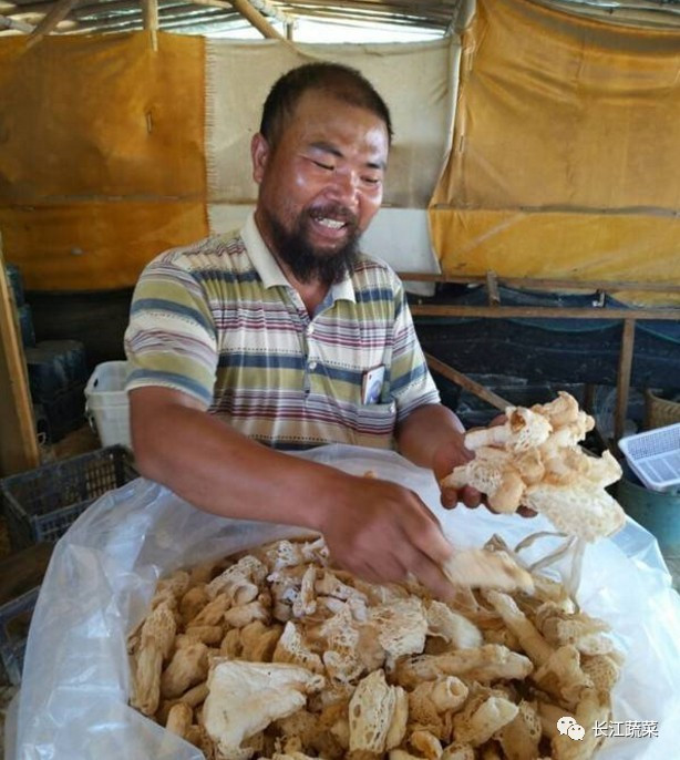 致富种植农民工具图片_致富种植农民工具有哪些_农民种植致富工具