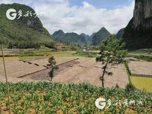 致富种植农民工具有哪些_农民种植致富工具_致富种植农民工具图片