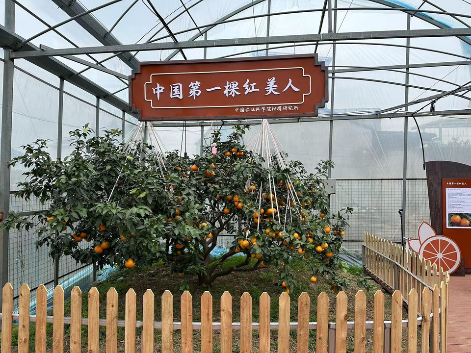 三农致富经蟾蜍_三农致富经蟾蜍_三农致富经蟾蜍