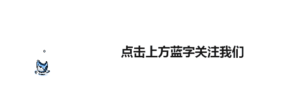 有机质蔬菜特色种植的致富故事_海伦种植致富_农村种植致富好项目
