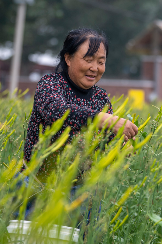 致富种植专业合作社_10致富种植_致富种植视频全集