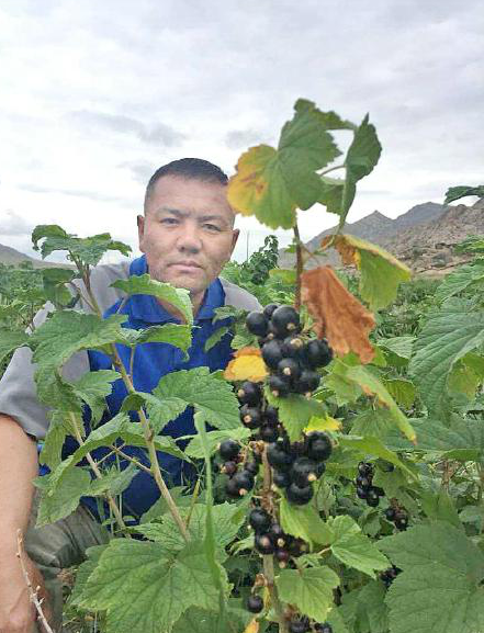 致富种植农民工具有哪些_致富种植农民工具视频_农民种植致富工具